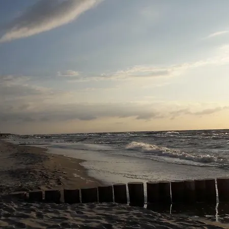 Morski Widok Gardenia *