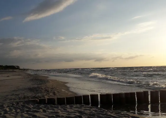 Morski Widok Gardenia *